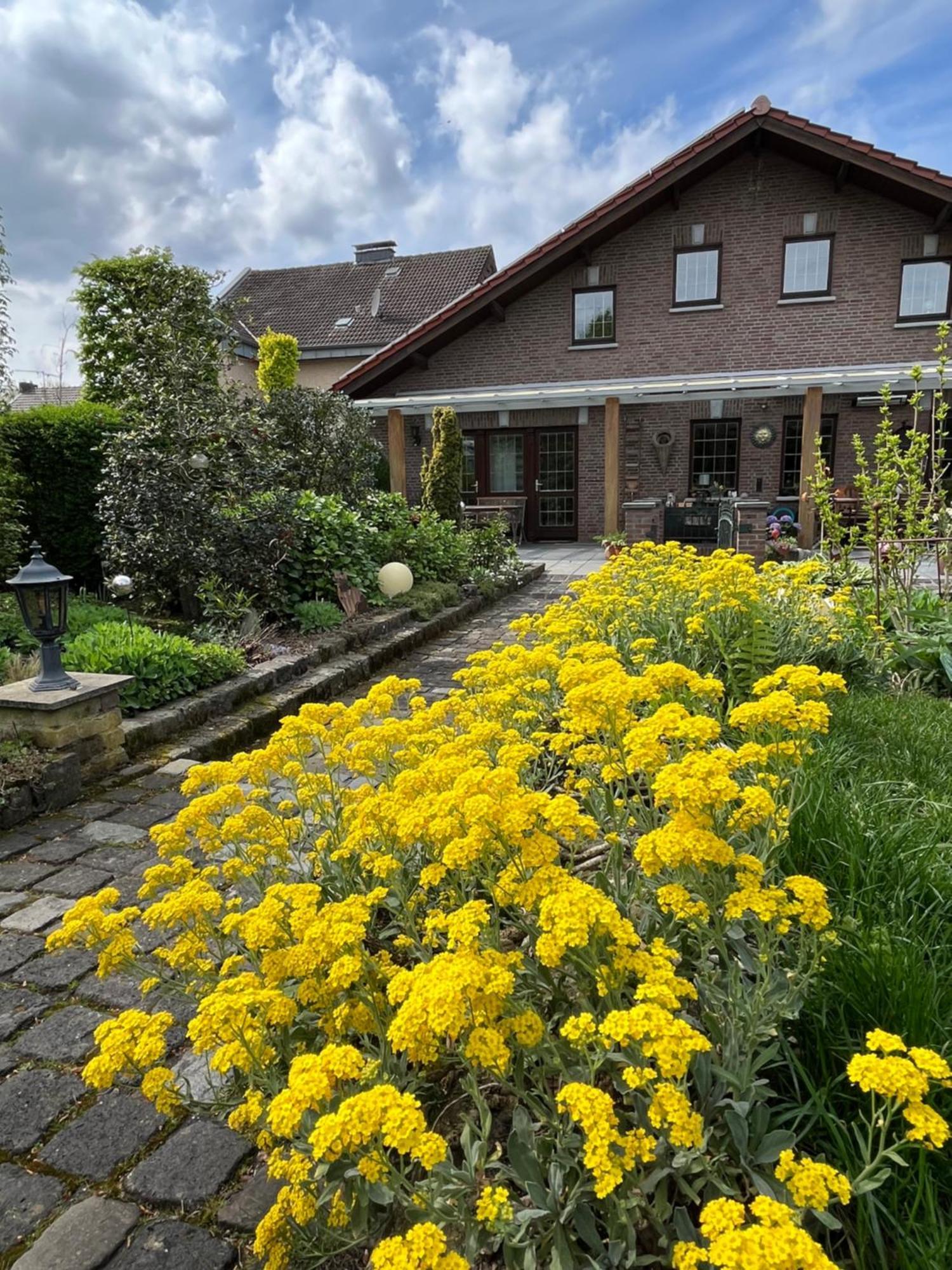 Ferienwohnung Jansen Selfkant 外观 照片