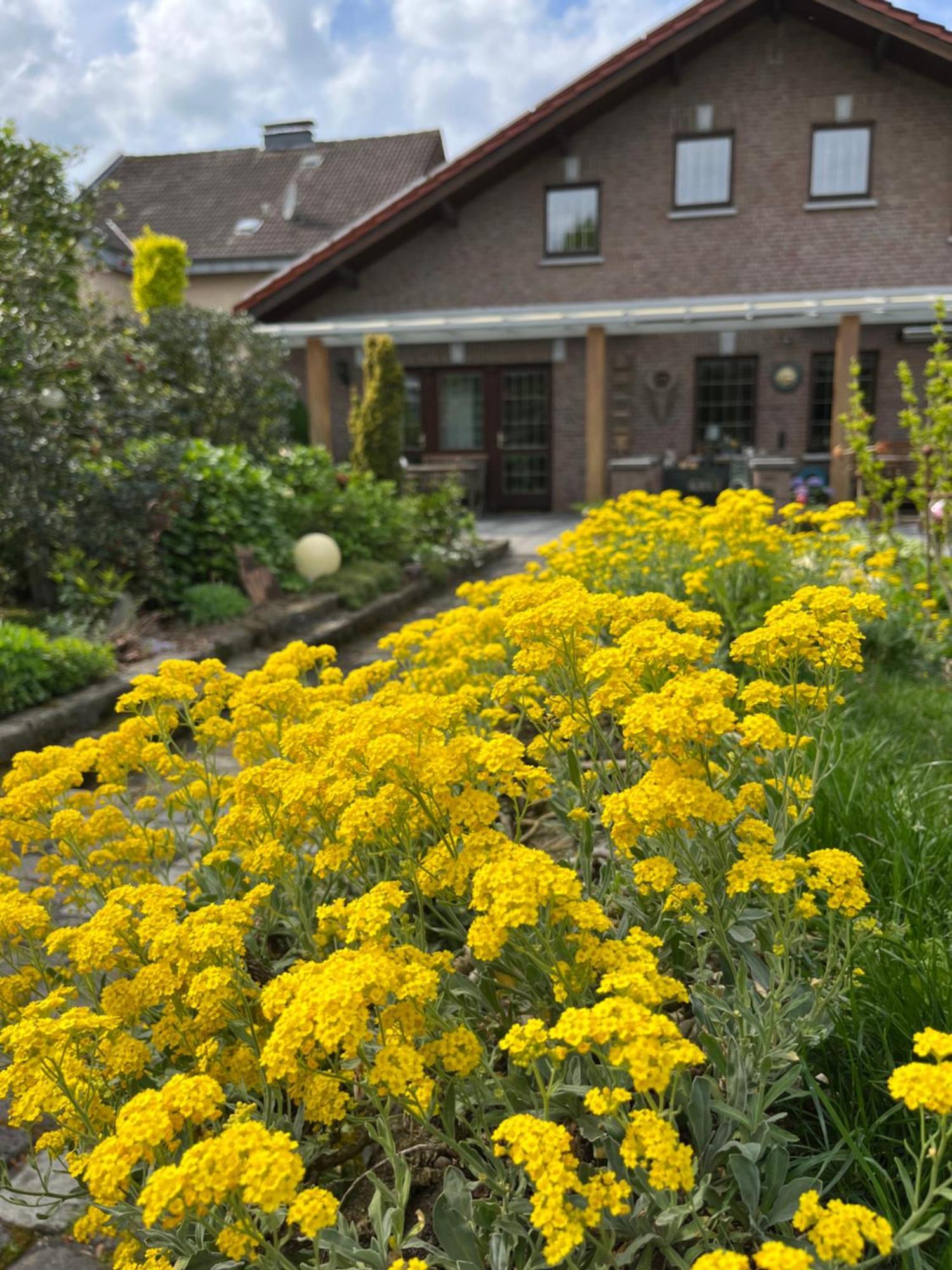 Ferienwohnung Jansen Selfkant 外观 照片